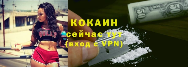 мяу мяу мука Шали
