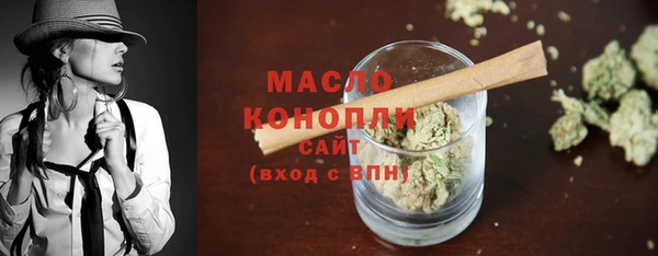 индика Заволжск