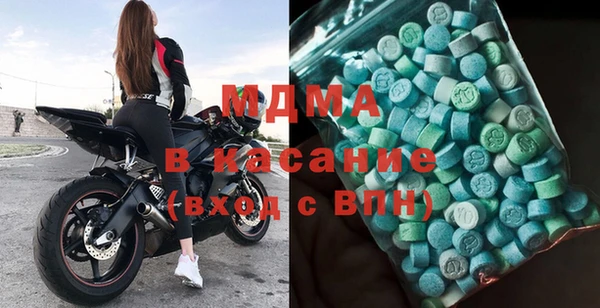 индика Ельня